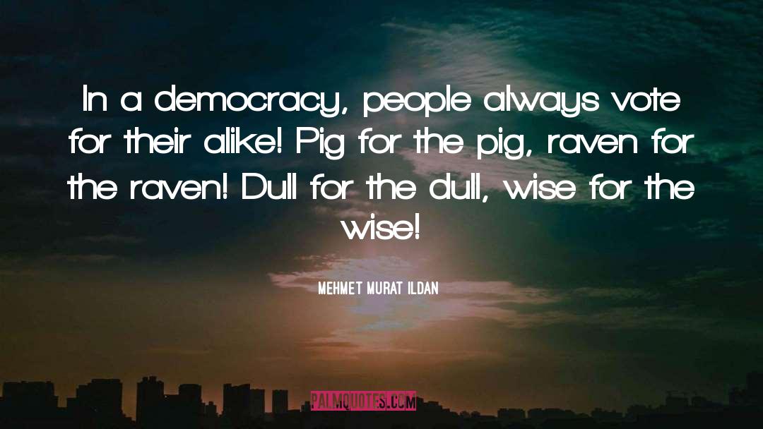 Pigs In A Blanket quotes by Mehmet Murat Ildan