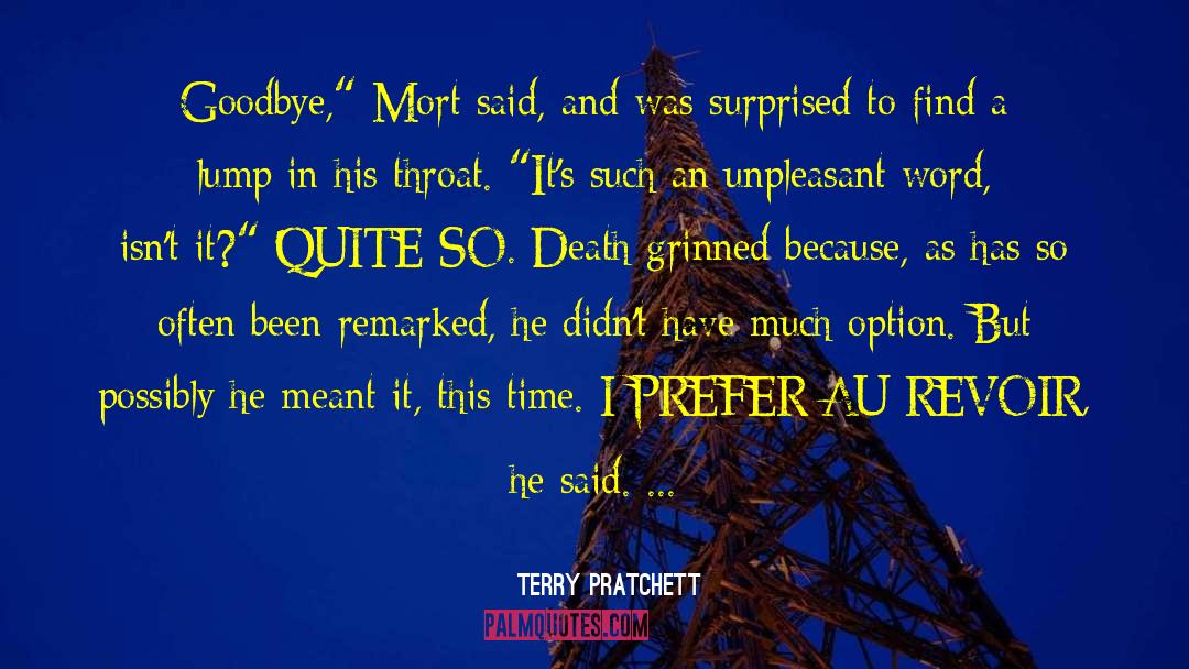 Pikachus Goodbye quotes by Terry Pratchett