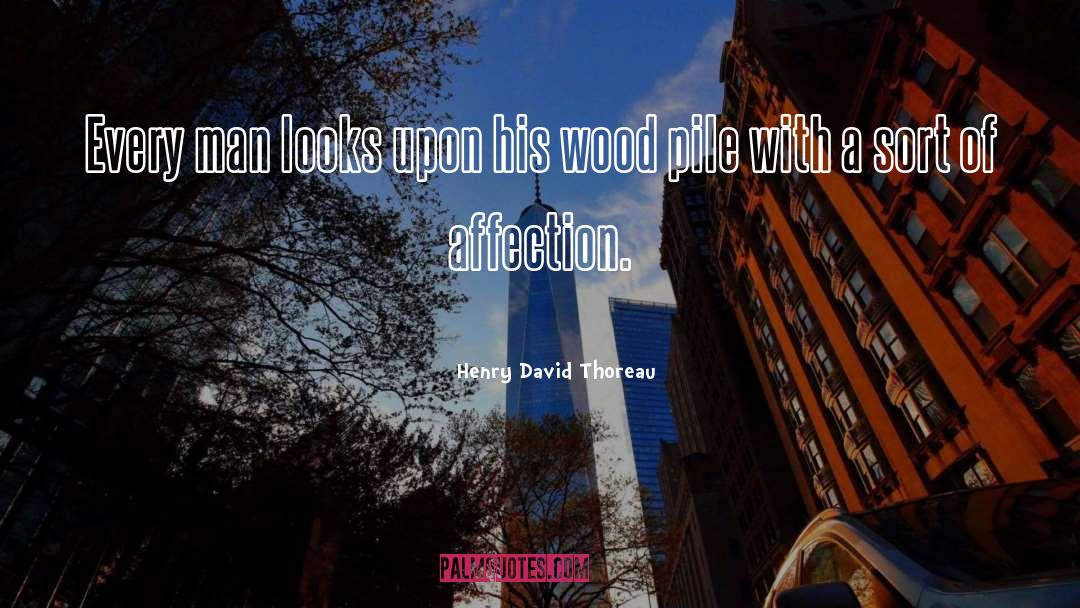 Pile quotes by Henry David Thoreau