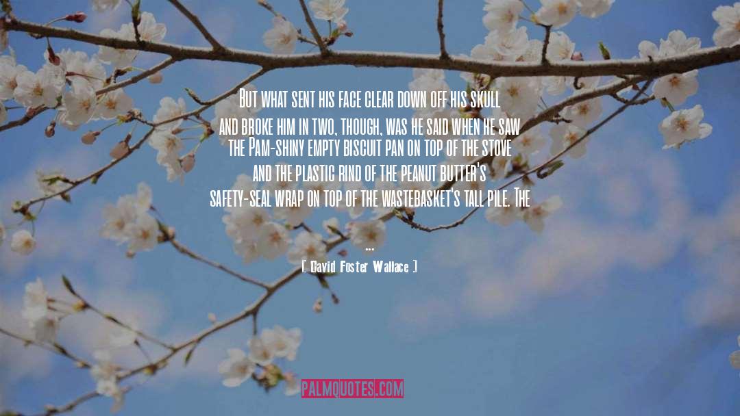 Pile quotes by David Foster Wallace