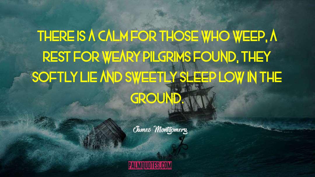 Pilgrims quotes by James Montgomery
