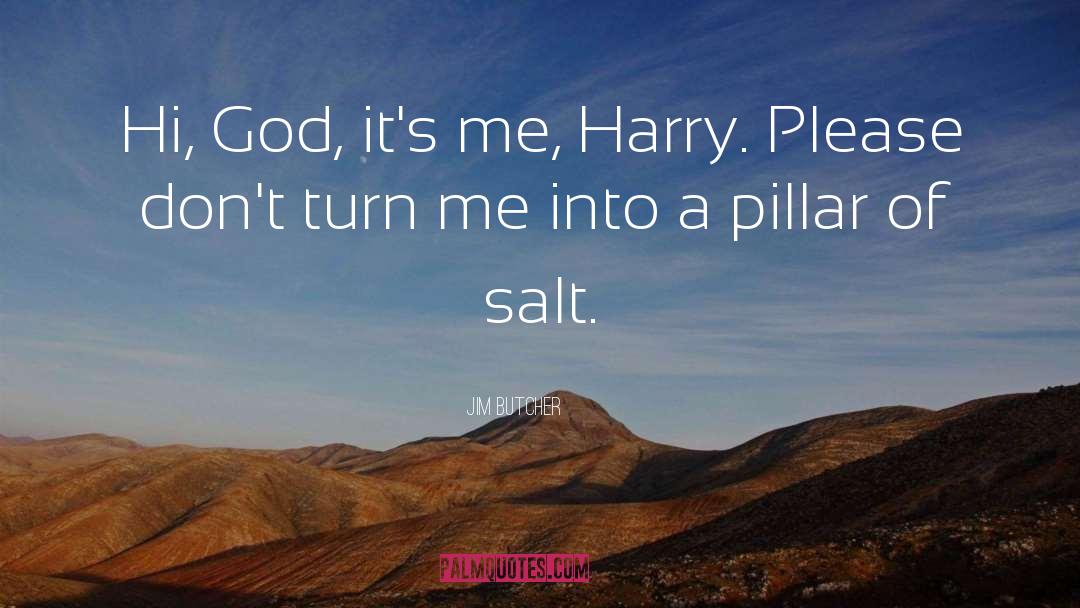 Pillar Of Salt quotes by Jim Butcher