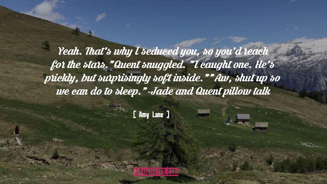 Pillow quotes by Amy Lane