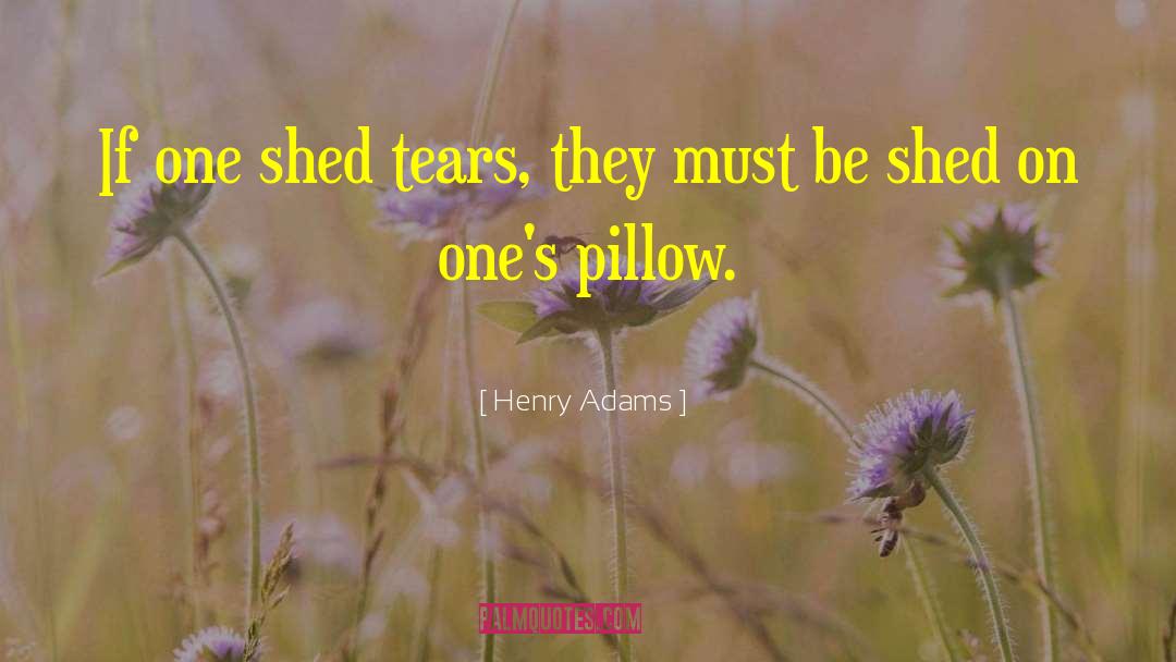 Pillow Tears quotes by Henry Adams