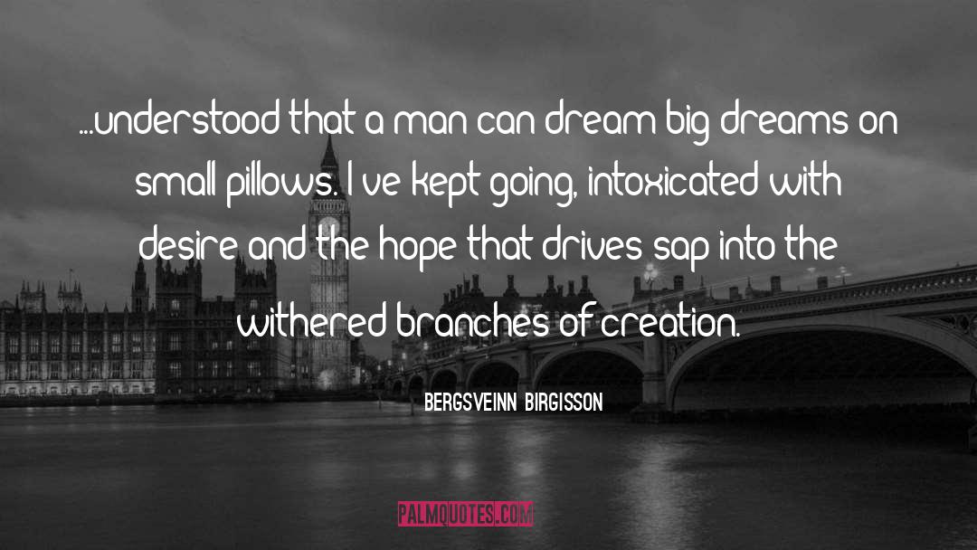 Pillows quotes by Bergsveinn Birgisson