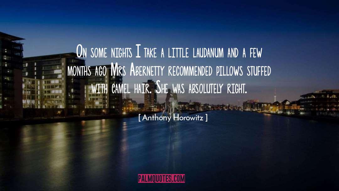 Pillows quotes by Anthony Horowitz