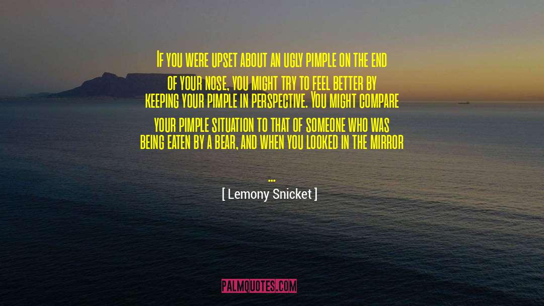 Pimples quotes by Lemony Snicket