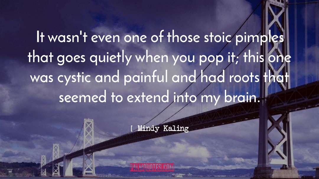 Pimples quotes by Mindy Kaling