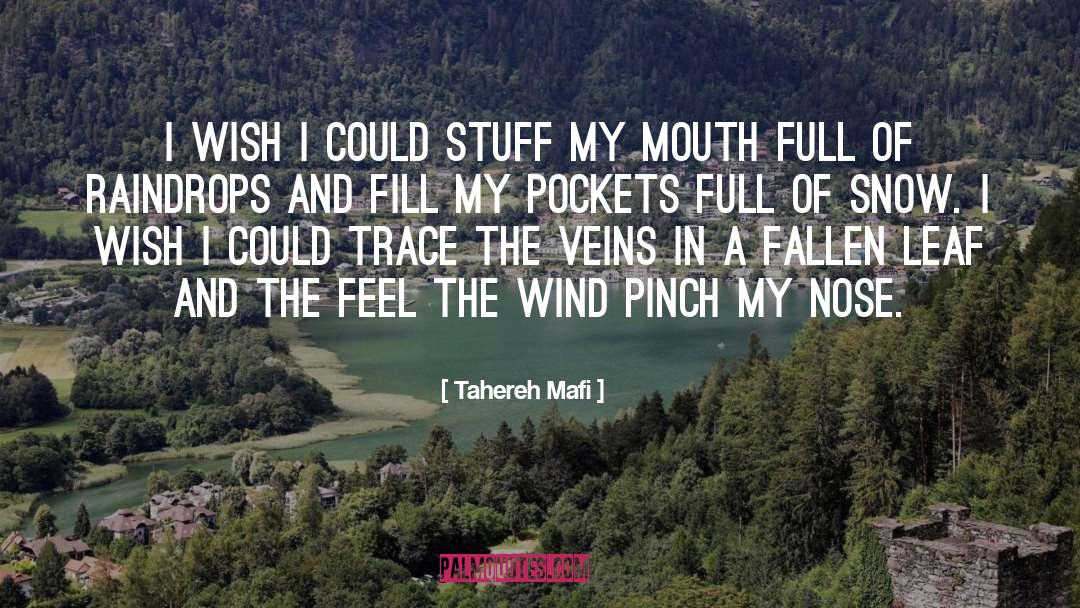 Pinch quotes by Tahereh Mafi