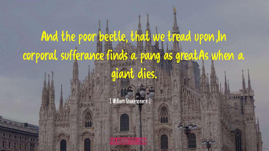 Pinching Beetle quotes by William Shakespeare