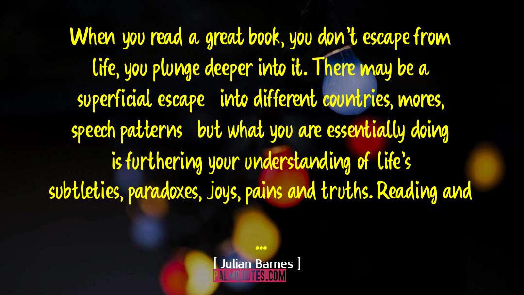 Pincushion Patterns quotes by Julian Barnes