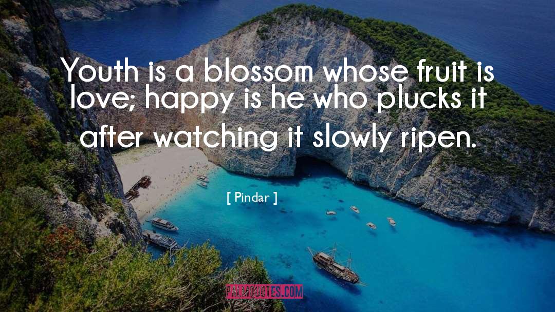 Pindar quotes by Pindar