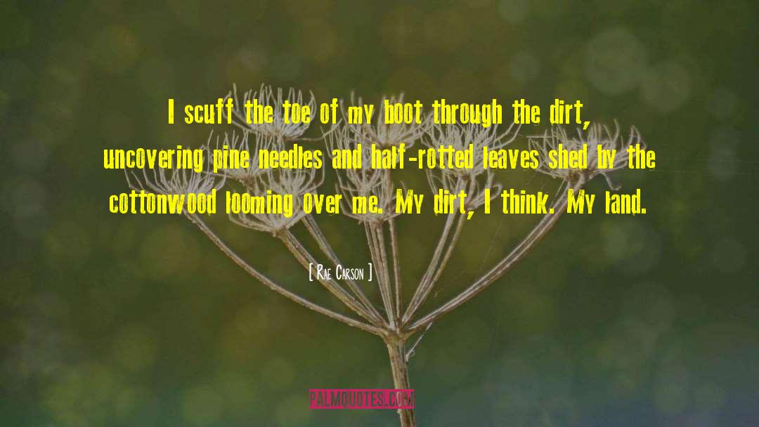 Pine Needles quotes by Rae Carson