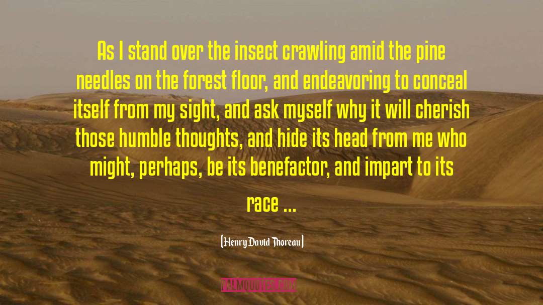 Pine Needles quotes by Henry David Thoreau