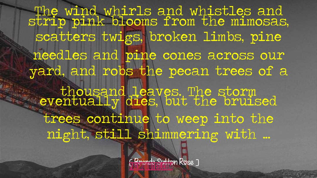 Pine Needles quotes by Brenda Sutton Rose