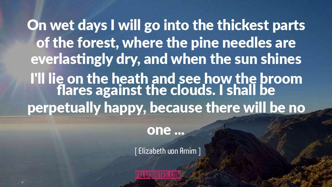 Pine Needles quotes by Elizabeth Von Arnim