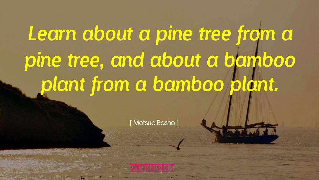 Pine Nuts quotes by Matsuo Basho