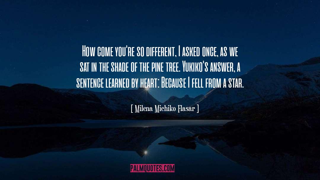 Pine quotes by Milena Michiko Flasar