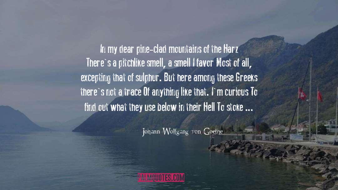 Pine quotes by Johann Wolfgang Von Goethe