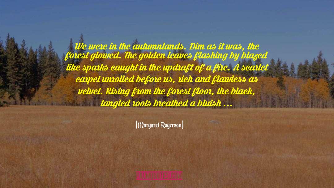 Pine Ridge Reservation quotes by Margaret  Rogerson