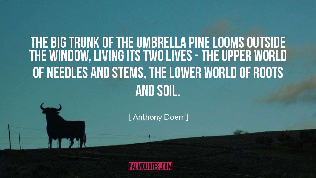 Pine Ridge Reservation quotes by Anthony Doerr