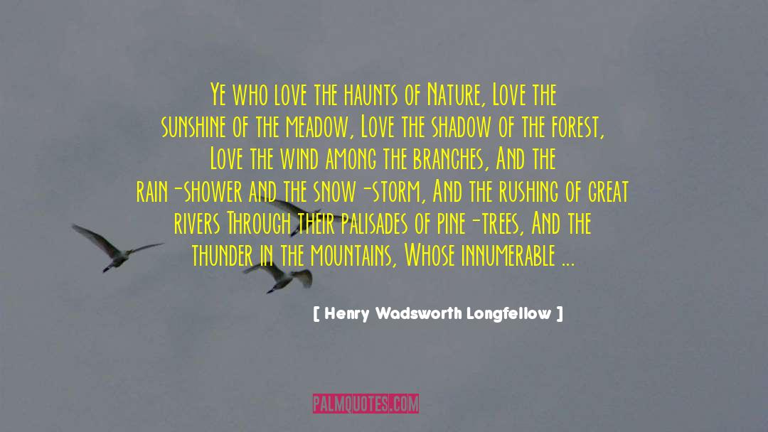Pine Trees quotes by Henry Wadsworth Longfellow