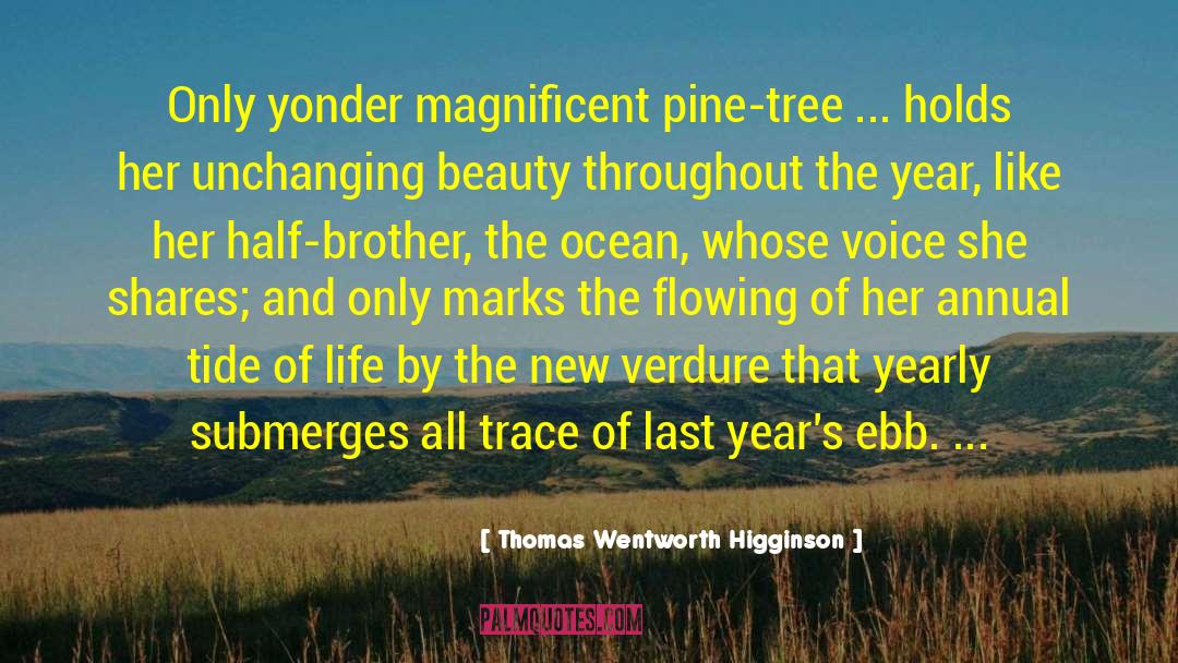 Pine Trees quotes by Thomas Wentworth Higginson