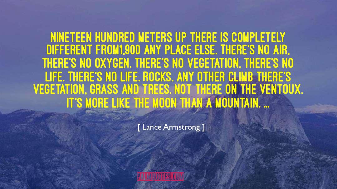 Pine Trees quotes by Lance Armstrong