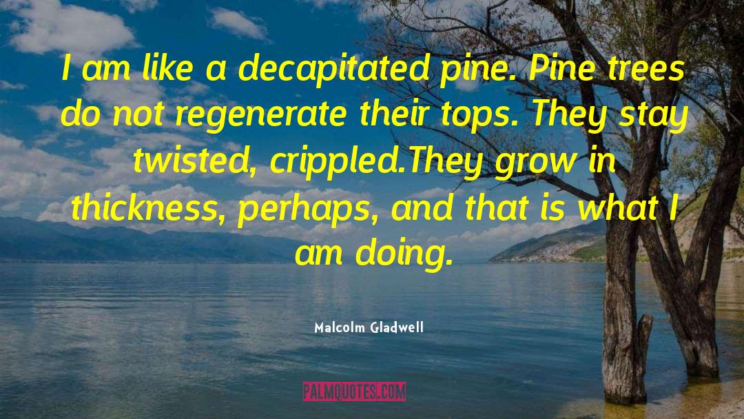 Pine Trees quotes by Malcolm Gladwell