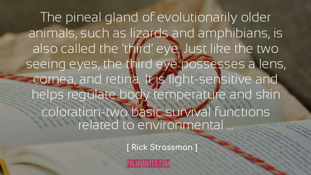 Pineal Gland quotes by Rick Strassman