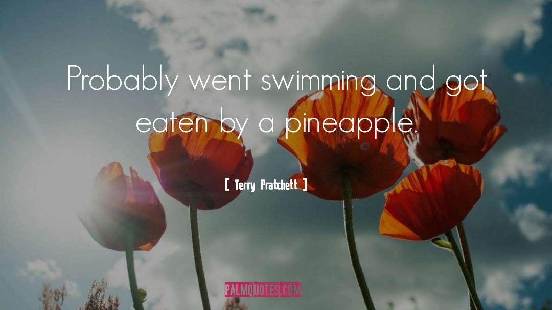 Pineapple Grenade quotes by Terry Pratchett