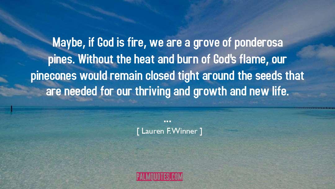 Pinecones quotes by Lauren F. Winner