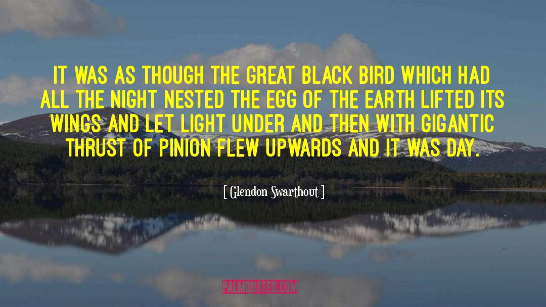 Pinion quotes by Glendon Swarthout