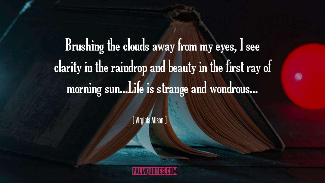 Pink Clouds quotes by Virginia Alison