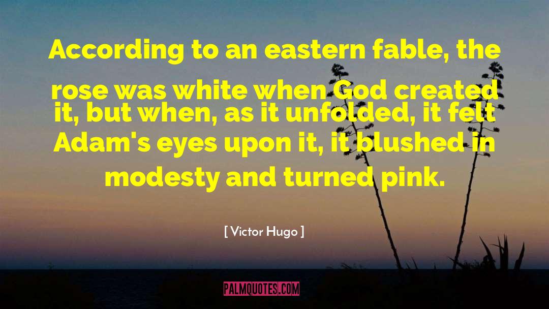 Pink Eyeshadow quotes by Victor Hugo