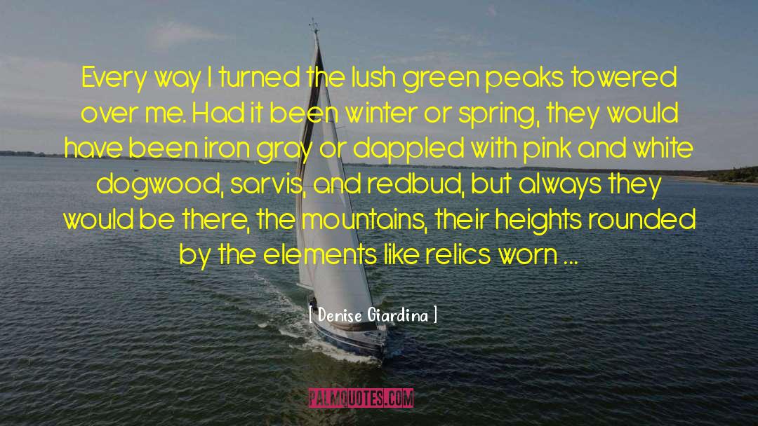 Pink Eyeshadow quotes by Denise Giardina