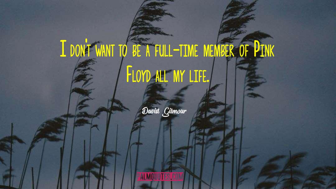 Pink Floyd quotes by David Gilmour