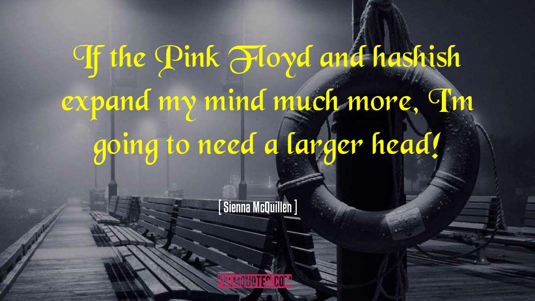 Pink Floyd quotes by Sienna McQuillen