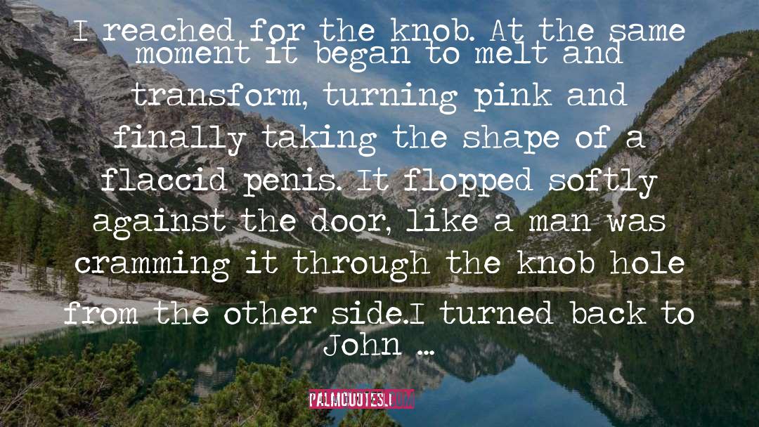 Pink quotes by David Wong