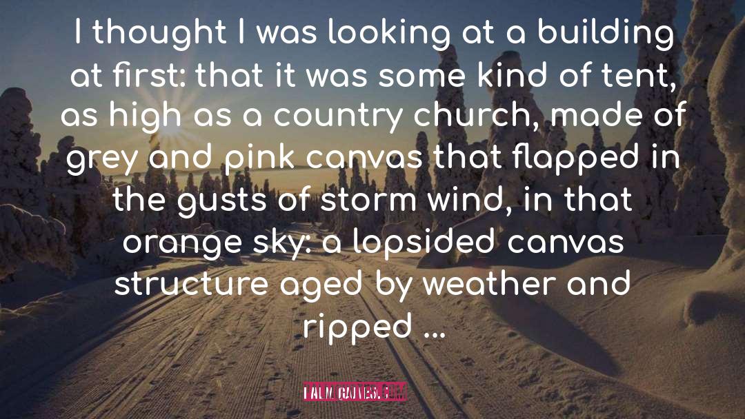 Pink quotes by Neil Gaiman