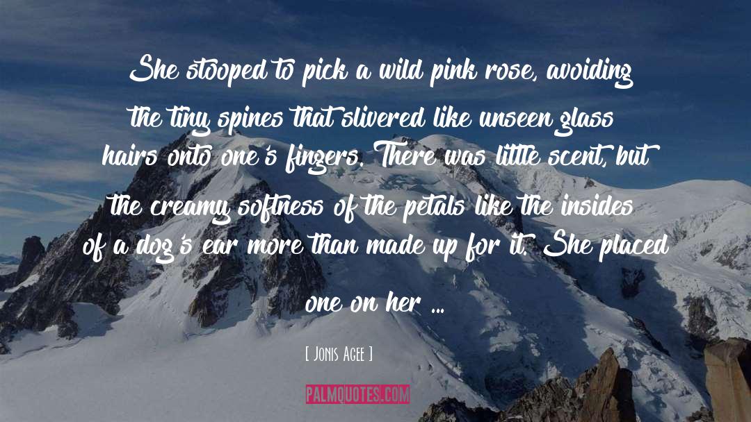 Pink quotes by Jonis Agee