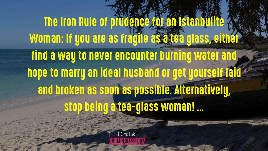 Pinkwater Glass quotes by Elif Shafak