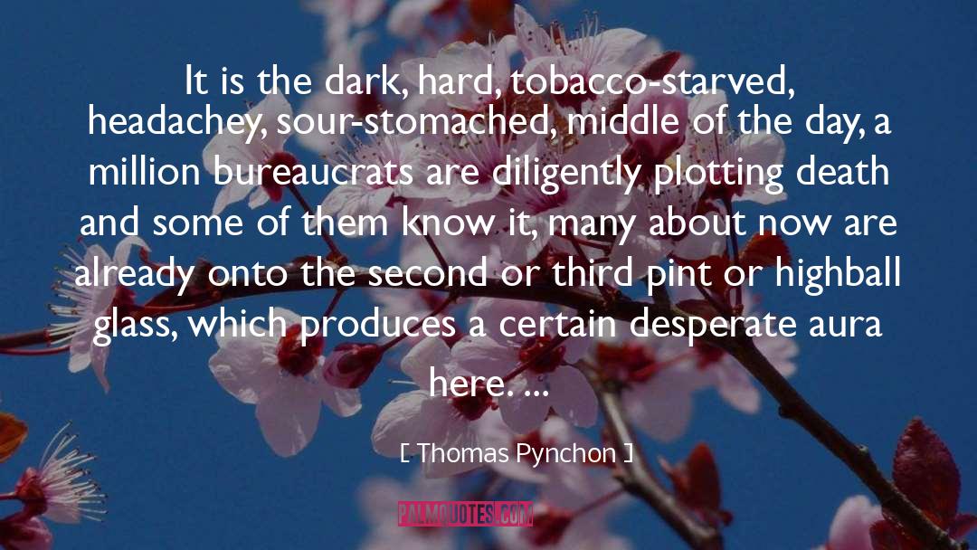 Pinkwater Glass quotes by Thomas Pynchon