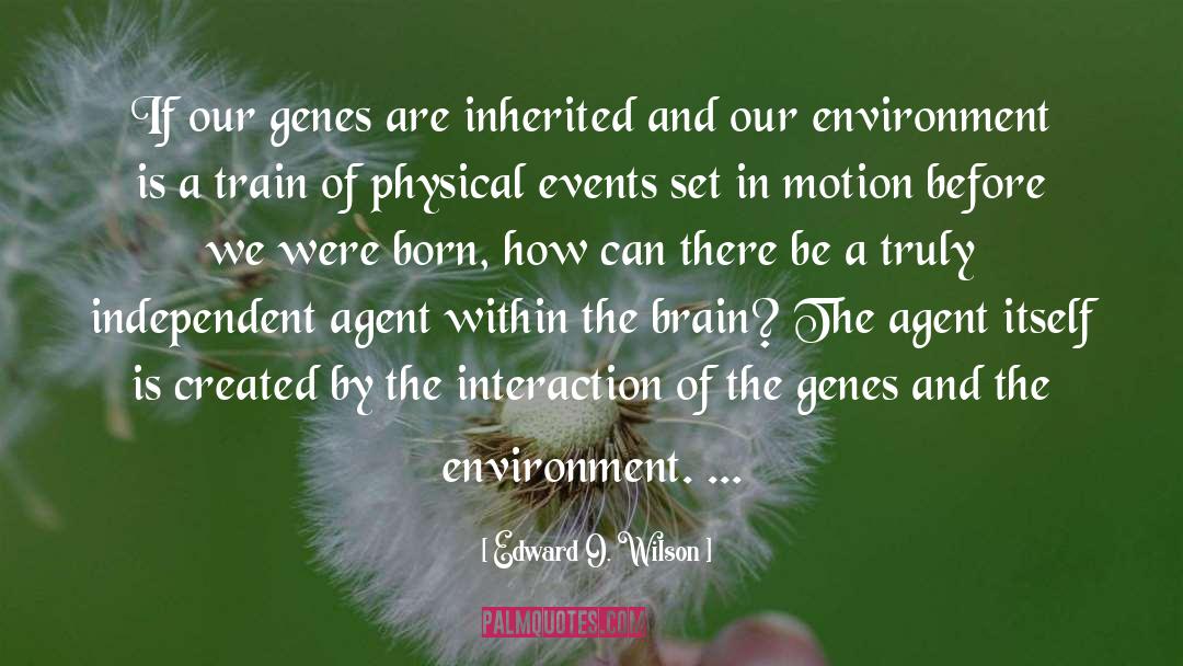 Pinky And The Brain quotes by Edward O. Wilson