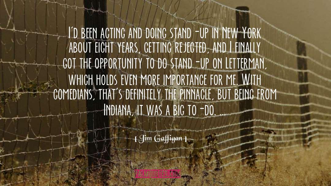 Pinnacle quotes by Jim Gaffigan
