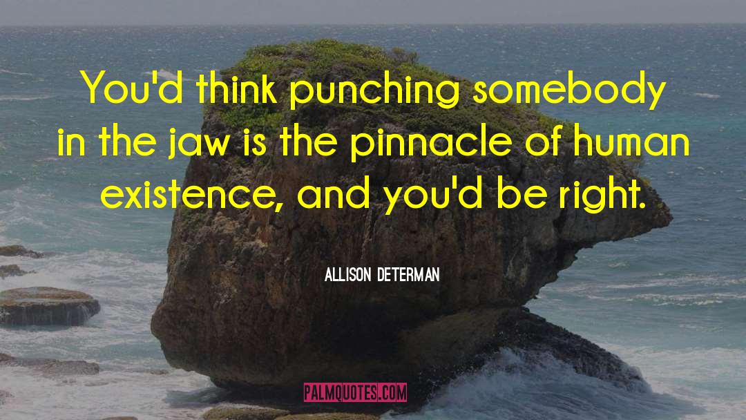 Pinnacle quotes by Allison Determan