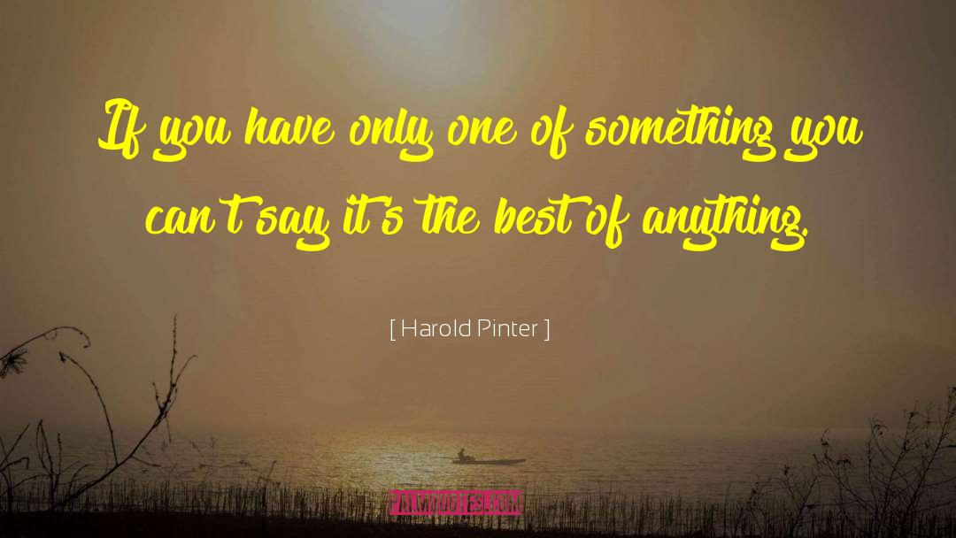 Pinter quotes by Harold Pinter