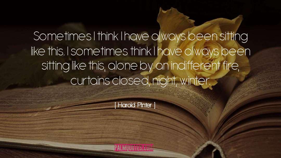 Pinter quotes by Harold Pinter