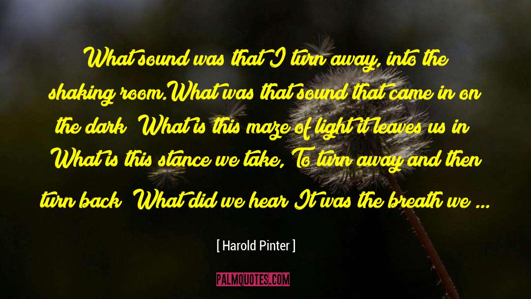 Pinter quotes by Harold Pinter