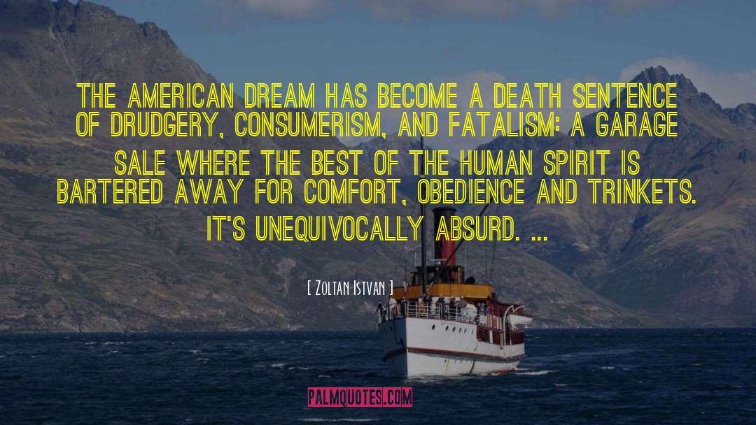 Pioneer Spirit quotes by Zoltan Istvan